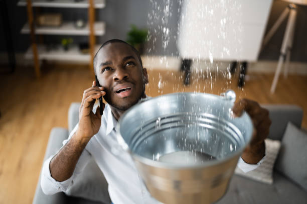  Shillington, PA Water damage restoration Pros