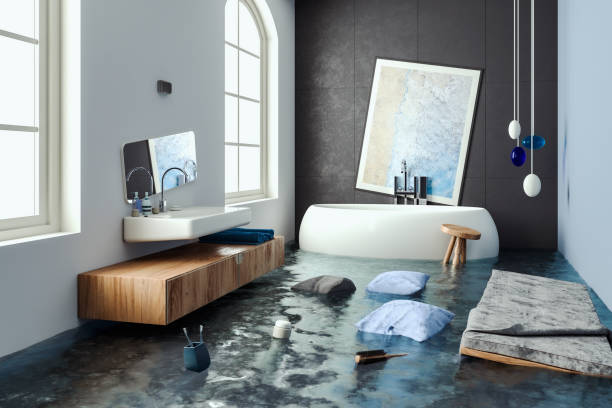 Best Professional water damage repair  in Shillington, PA