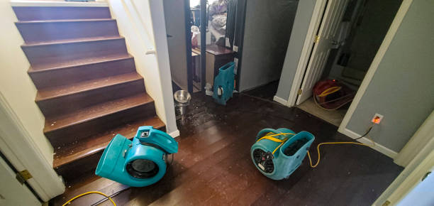Best 24-hour water damage restoration  in Shillington, PA