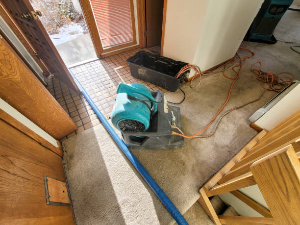 Best Flood restoration services  in Shillington, PA