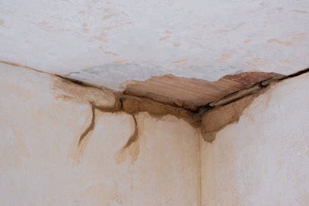 Best Water damage cleanup near me  in Shillington, PA