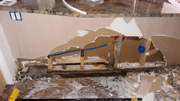 Best Water damage restoration mold remediation  in Shillington, PA