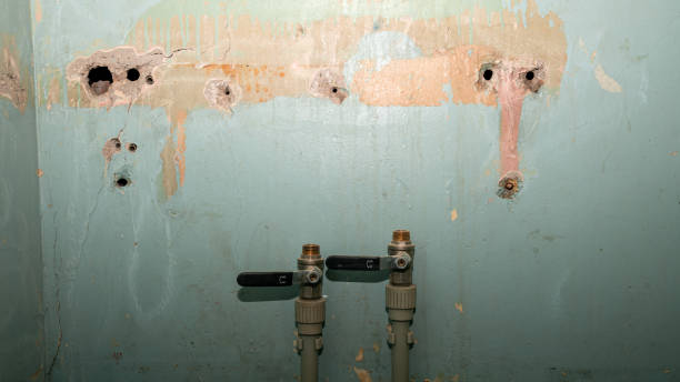Best 24/7 water damage repair  in Shillington, PA
