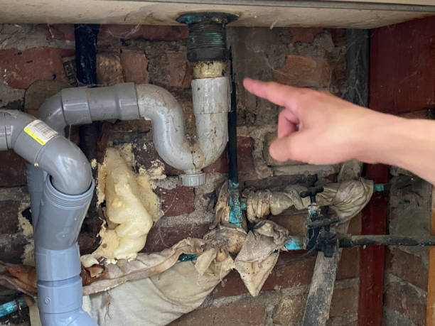 Best Fire Damage Restoration  in Shillington, PA