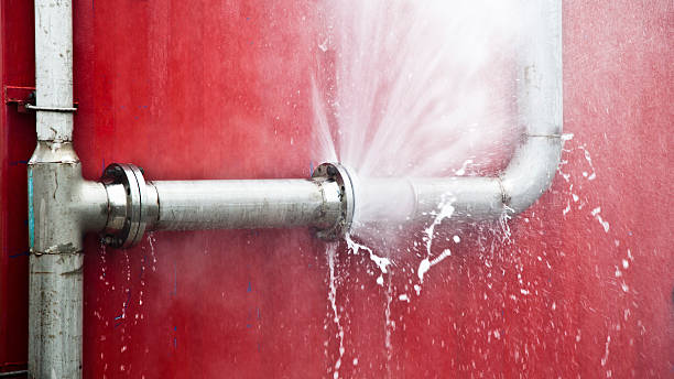 Best Mold removal after water damage  in Shillington, PA